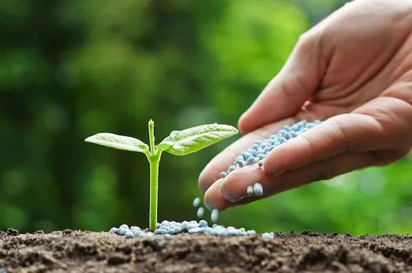 کربنات کلسیم برای صنعت کشاورزی | قیمت مناسب خرید عالی